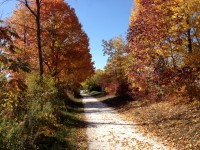Herbst-Radweg