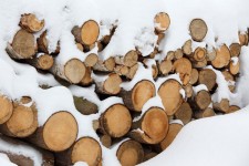 Brandhout voor de winter