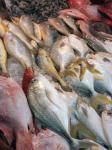 Mercato del pesce a Singapore