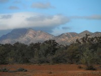 Flinder Ranges van Zuid-Australië.
