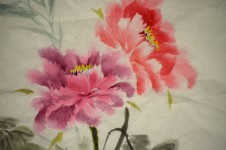 Peinture de fleur