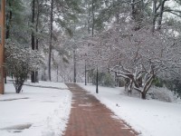Gefrorene Winter Path