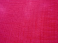 Fuchsia pink background