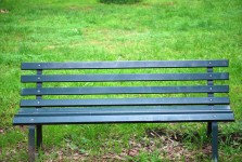 緑の公園のベンチ