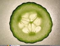 Slice Of Cucumber, Green