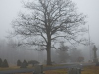 Haunted Cimitero 2