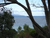 Остров Кенгуру Южной Австралии