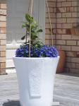 Stor White Garden pott