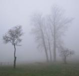 Listopadu mlha