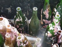 Stare butelki pod morzem