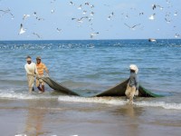 Oman Fishermen