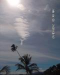 Palm i niebo