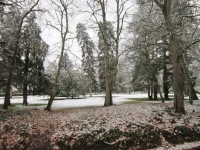 Park v zimě