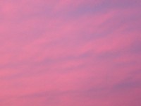 Céu da noite rosa