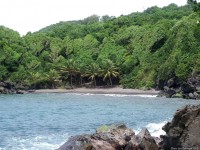 Beach met 3 kokospalmen