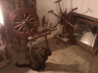 Camera de zi primitiv cu pisica