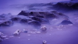 фиолетовый скалистых берегов