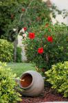 Red Hibiscus Ceramica