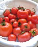 Зрелые красные помидоры