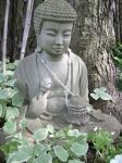 Serenity Bouddha