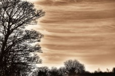 Nebe a strom - světelný efekt