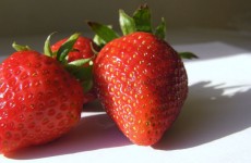 Erdbeer-Trio