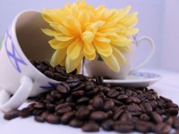 Taza de té de flores de café