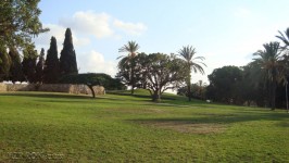 Tel Aviv Parque