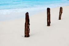 Drei Stöcke am Strand