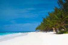 Tropisch strand in Barbados