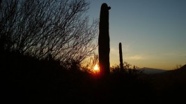 Tucson zonsopgang 2012