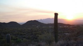 Tucson Sonnenaufgang 5-31-12 D