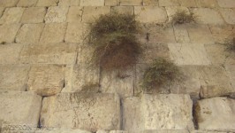 Muro de los Lamentos en Israel