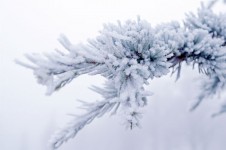 Inverno Branch
