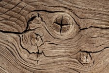Knots drewna