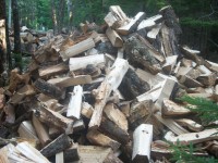 Pile di legno