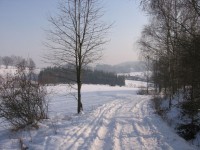 Peisaj de iarnă