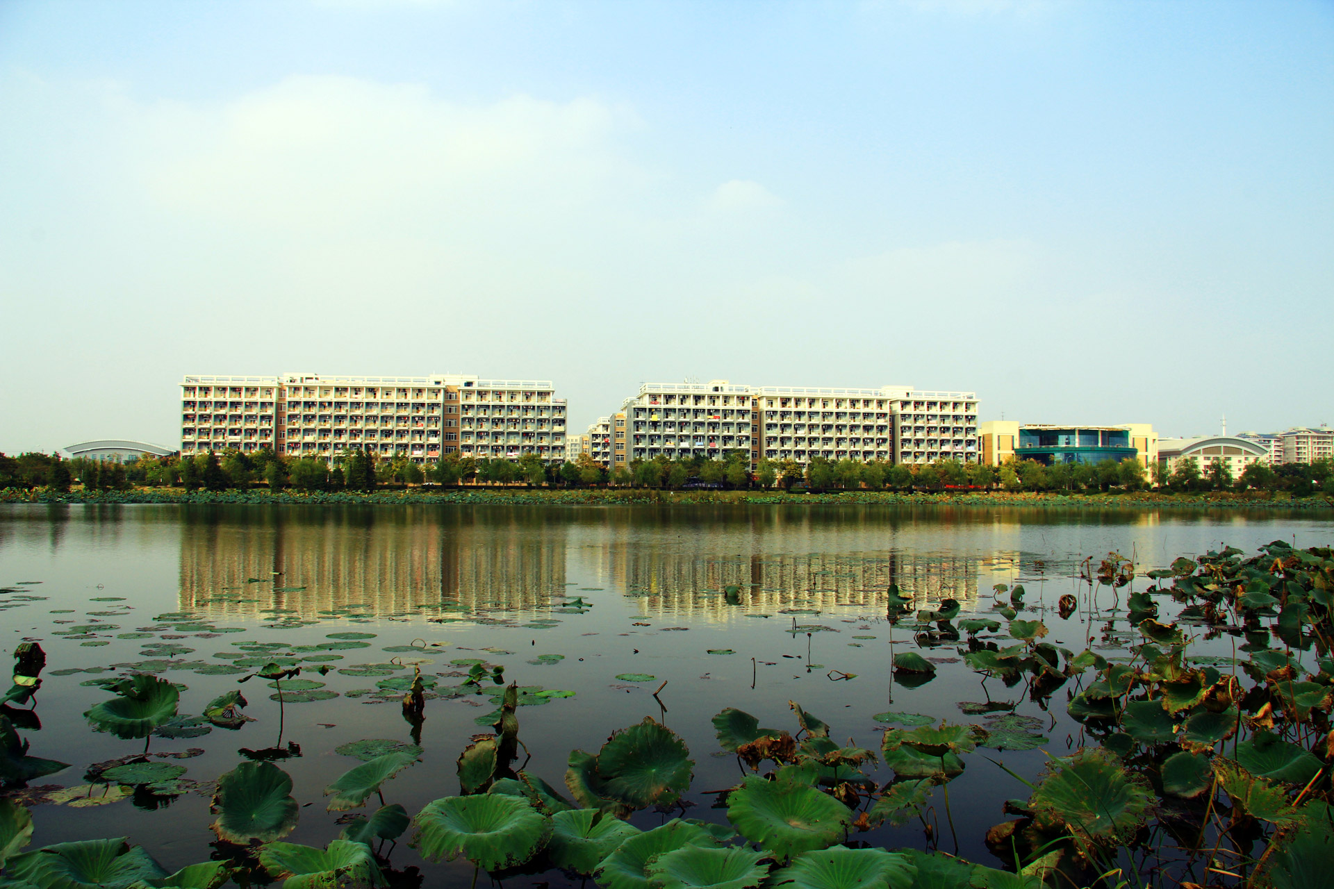 wuhan-university-free-stock-photo-public-domain-pictures