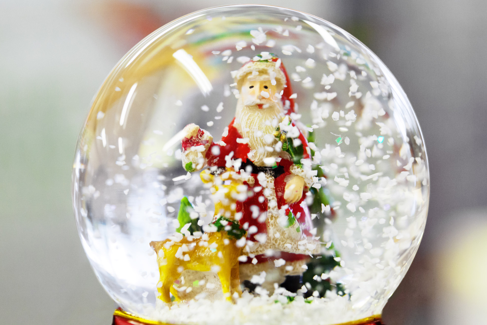 christmas-snow-globe-free-stock-photo-public-domain-pictures