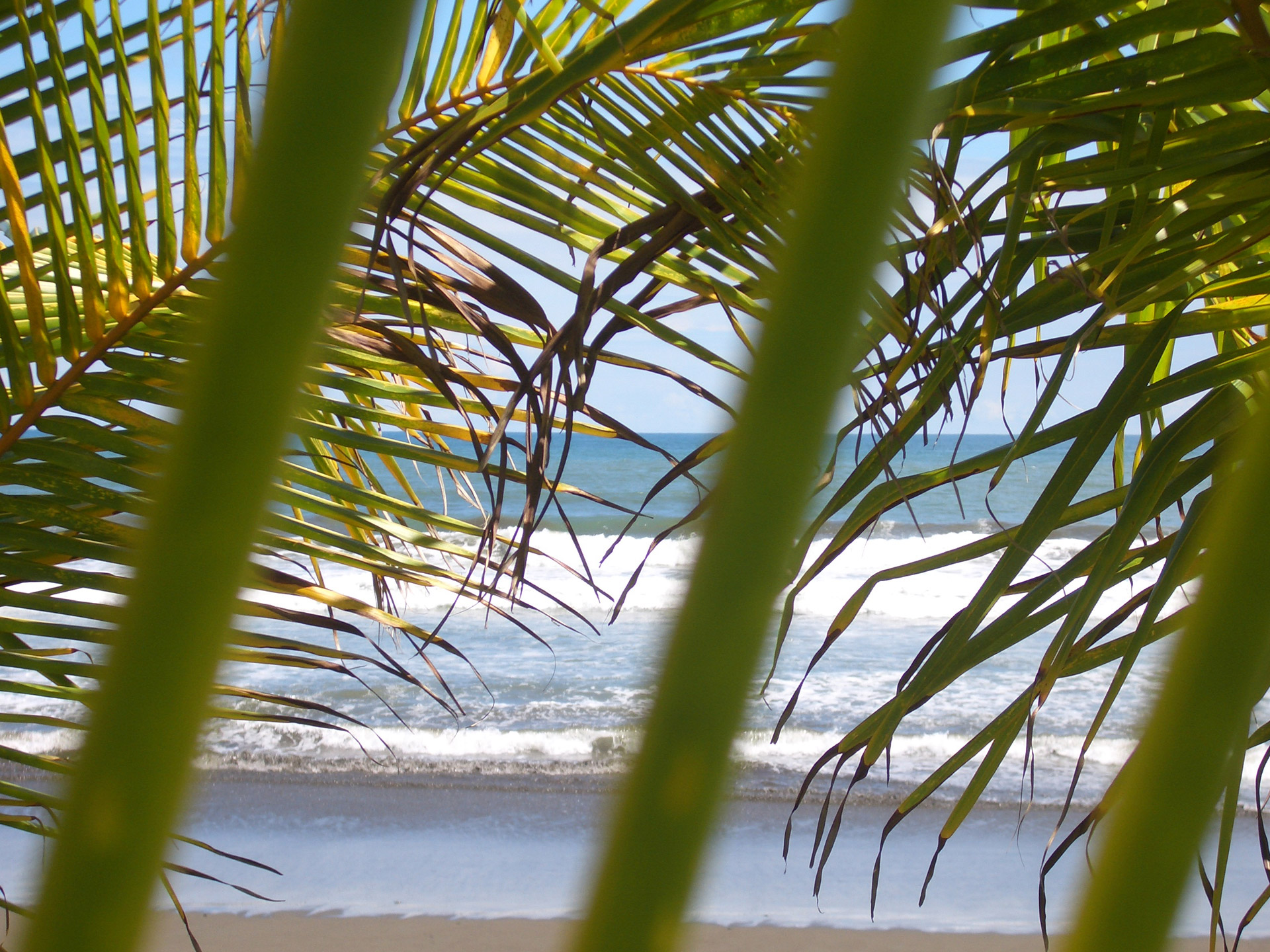 Costa Rica plajă