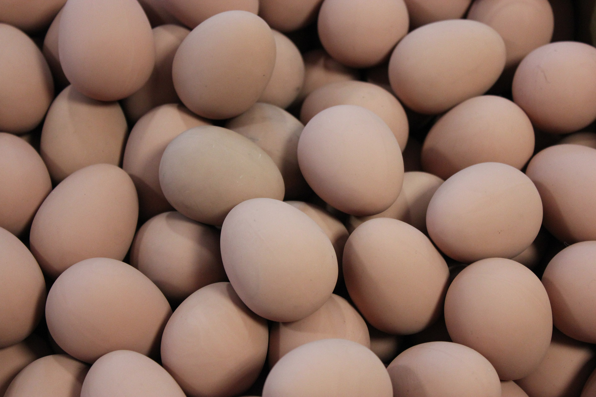 fake-rubber-eggs-free-stock-photo-public-domain-pictures