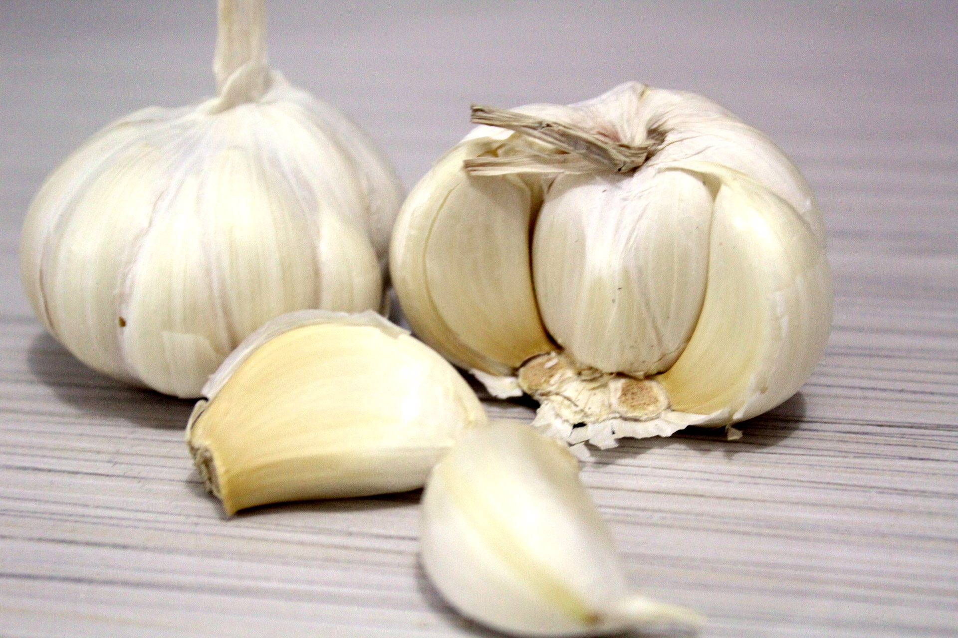 Garlic Free Stock Photo - Public Domain Pictures