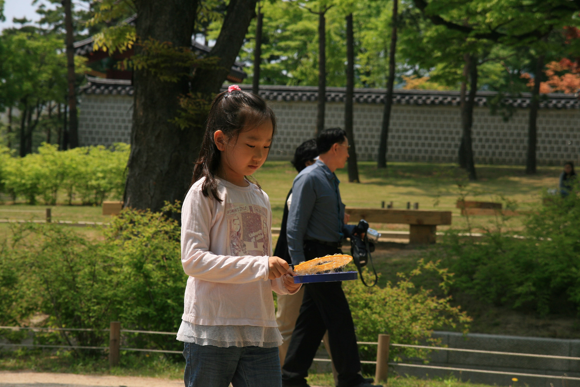 Girl In A Korean Palace Free Stock Photo - Public Domain ...