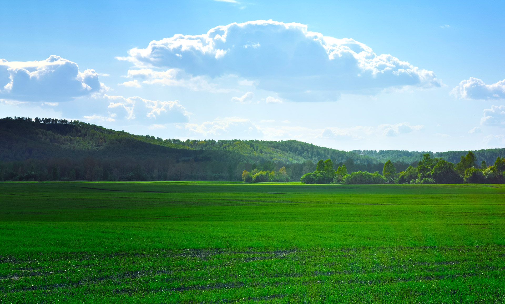 Green Fields Free Stock Photo - Public Domain Pictures

