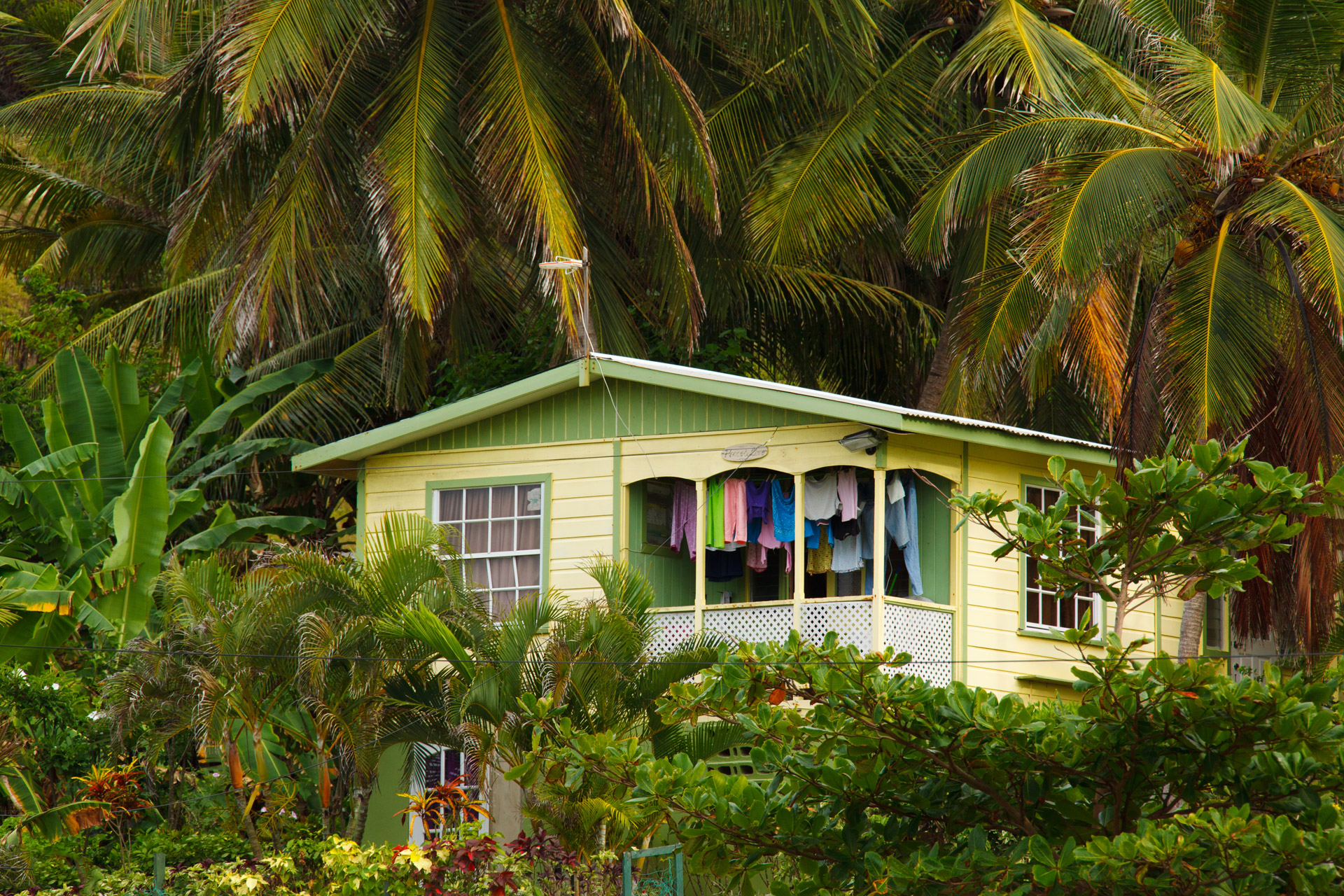 house-in-tropical-forest.jpg