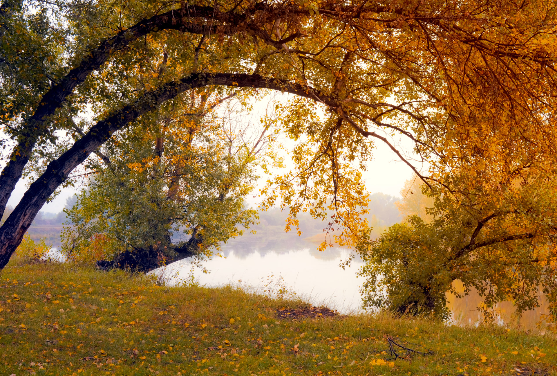 Indian Summer Free Stock Photo - Public Domain Pictures