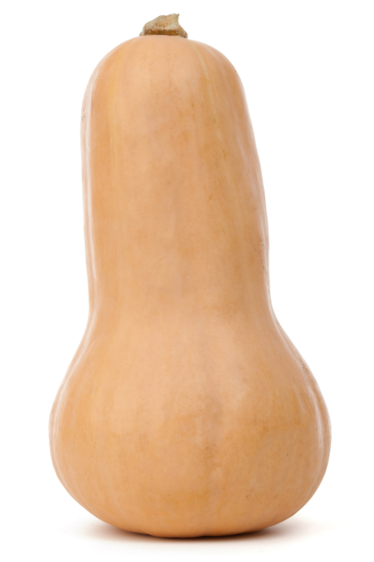 Isolated Butternut Squash