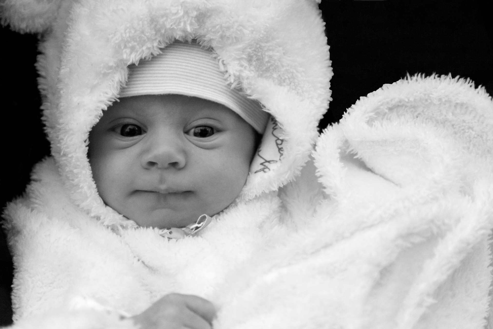 Baby Portrait Free Stock Photo - Public Domain Pictures