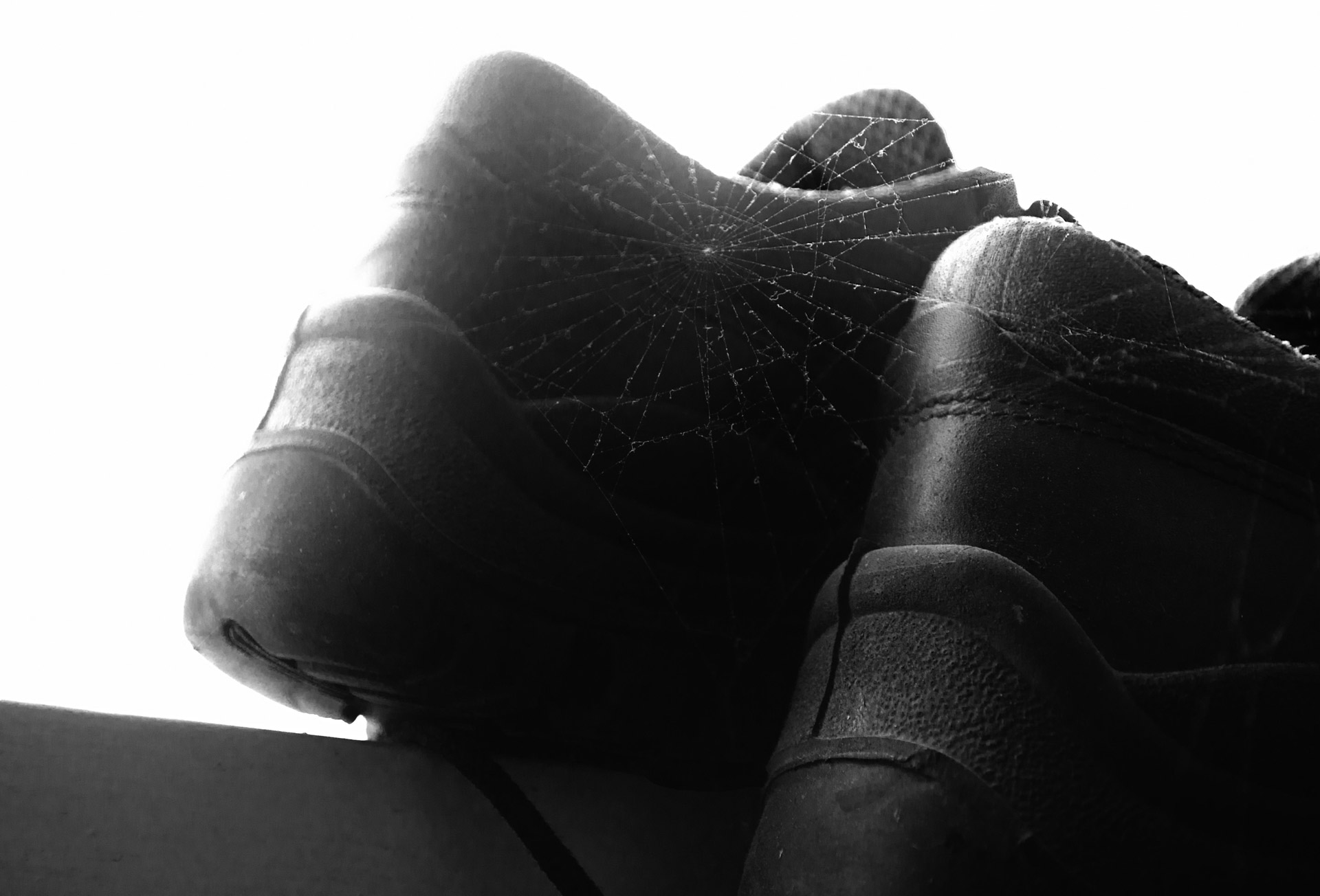 Old Work Shoes Free Stock Photo - Public Domain Pictures