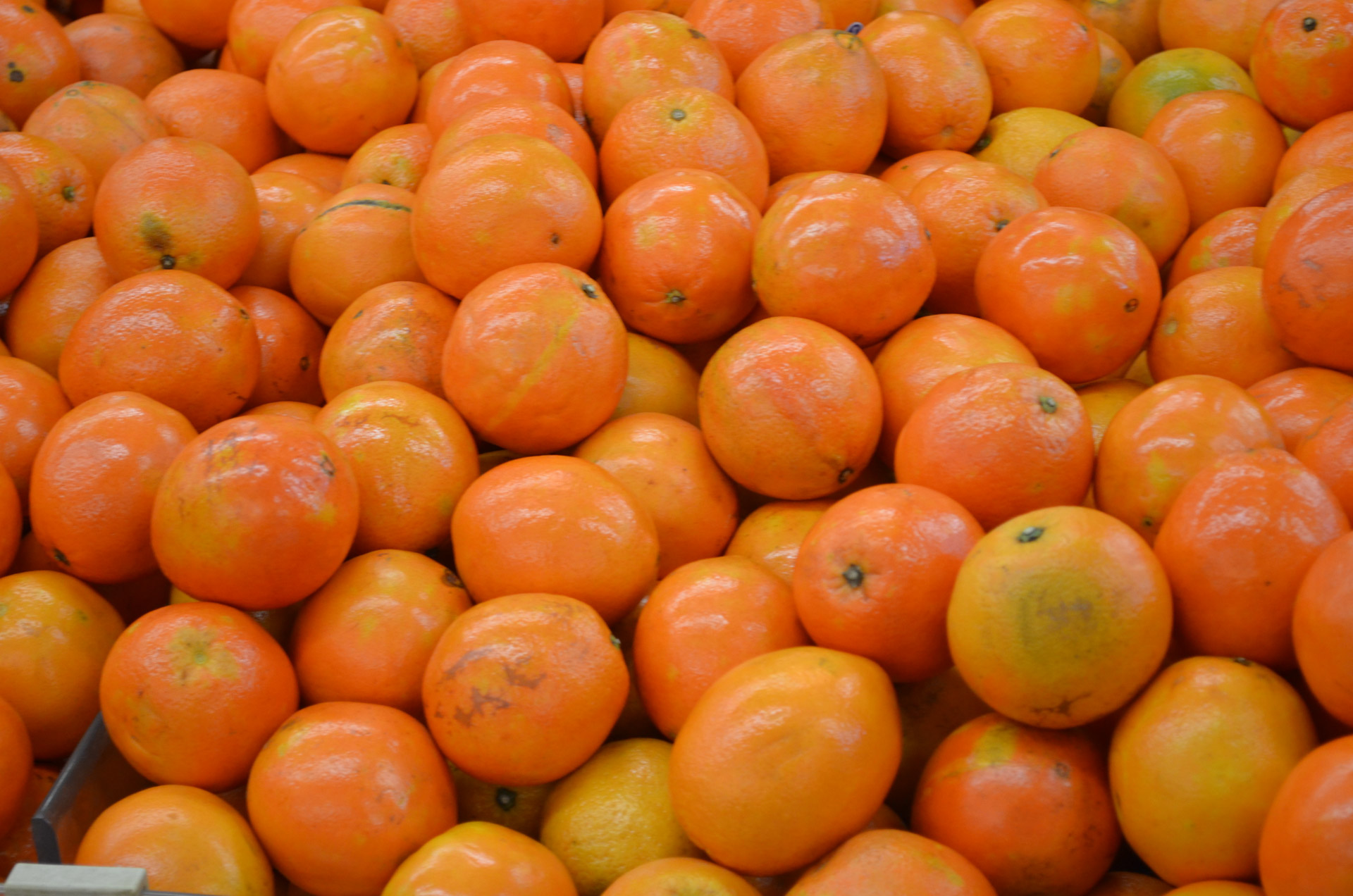 Oranges Free Stock Photo Public Domain Pictures